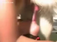 Animal dildo fucks a fat babe